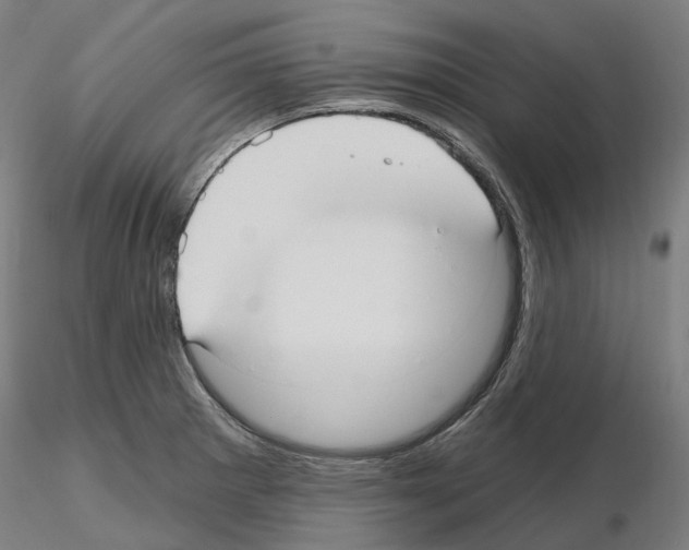 X0000115611281200912221159