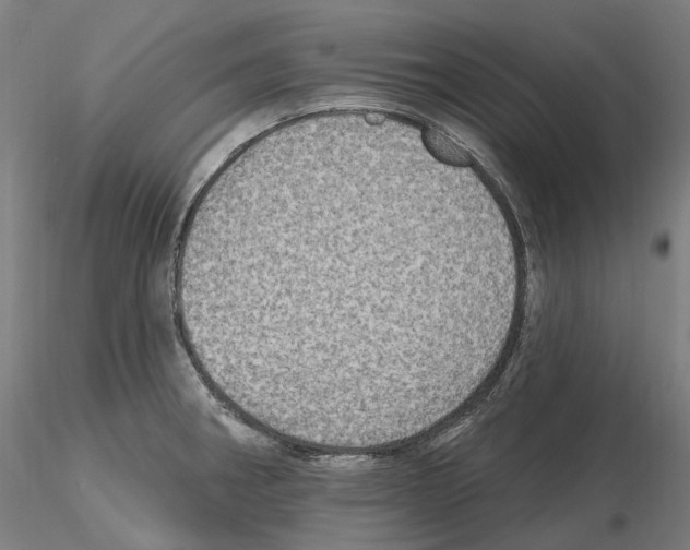 X0000115611282200912221159