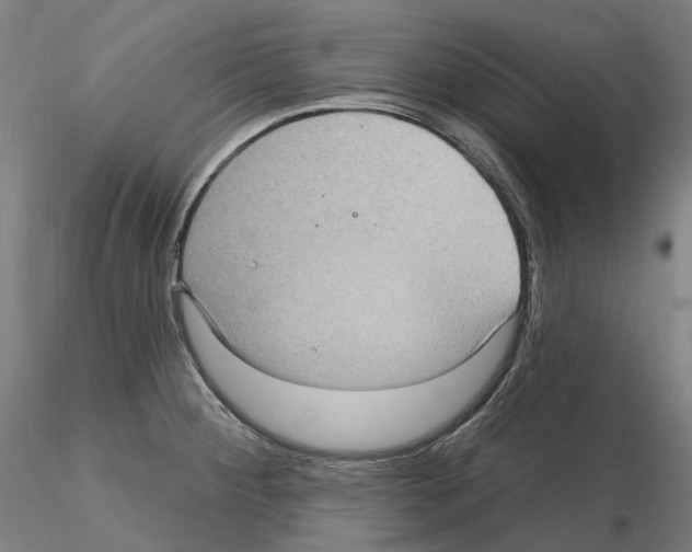 X0000115611284200912221159