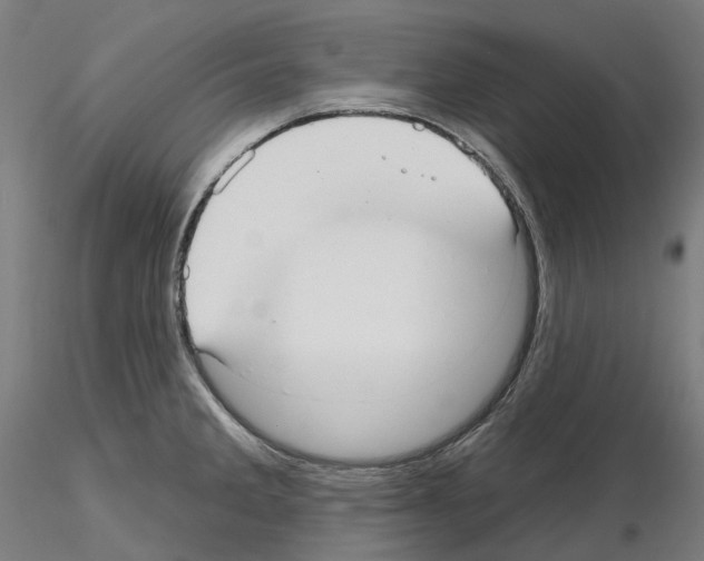 X0000115611285200912221159