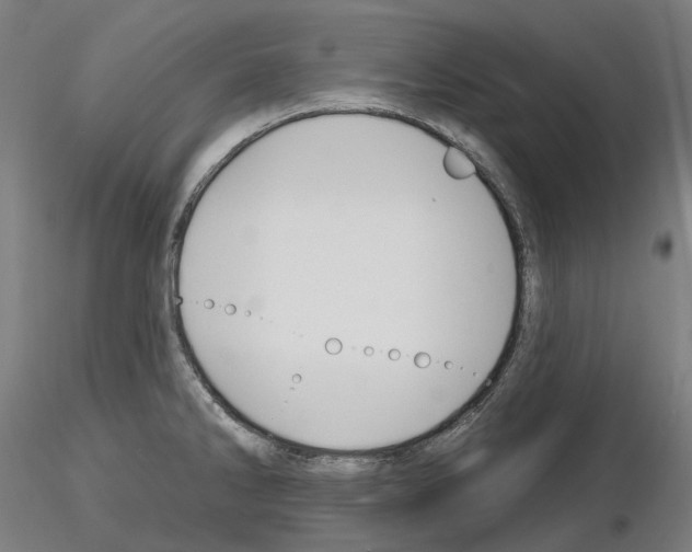 X0000115611286200912221159