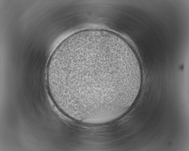 X0000115611287200912221159