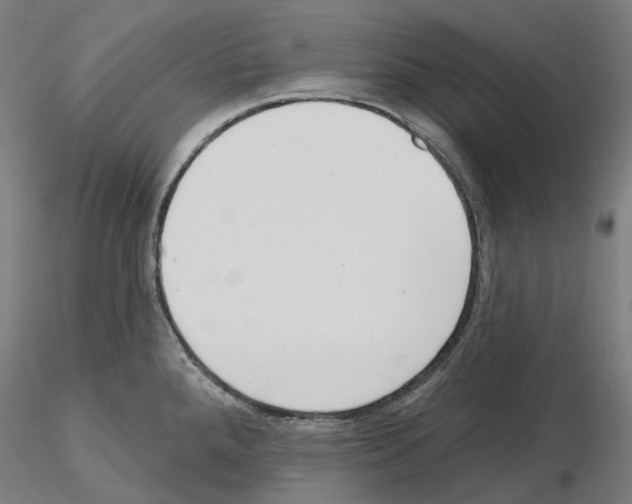 X0000115611288200912221159