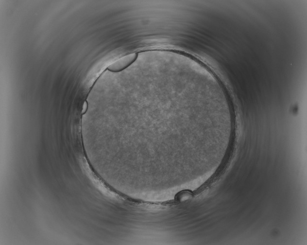 X0000115611289200912221159