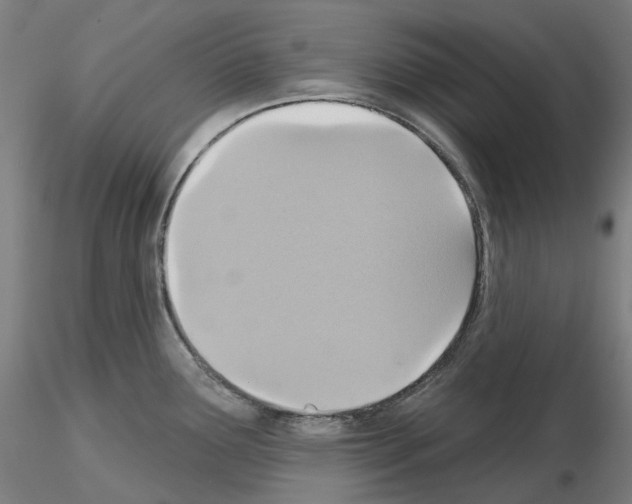 X0000115611291200912221159