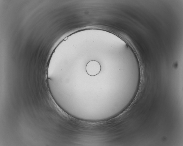 X0000115611292200912221159