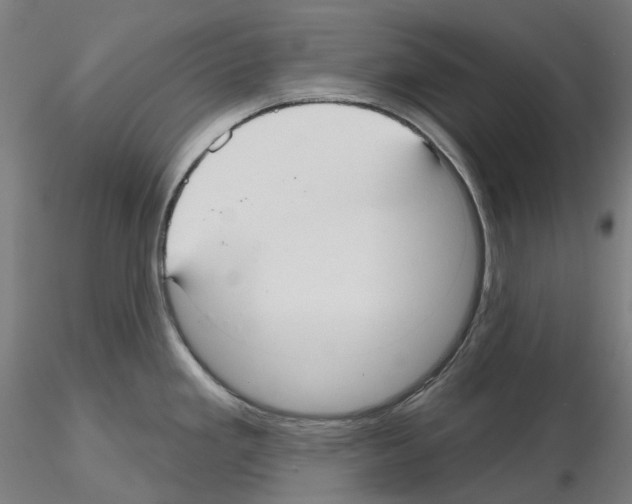X0000115611293200912221159