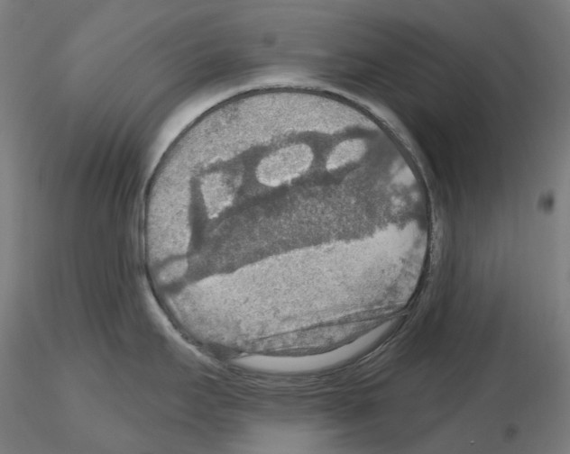 X0000115611295200912221159