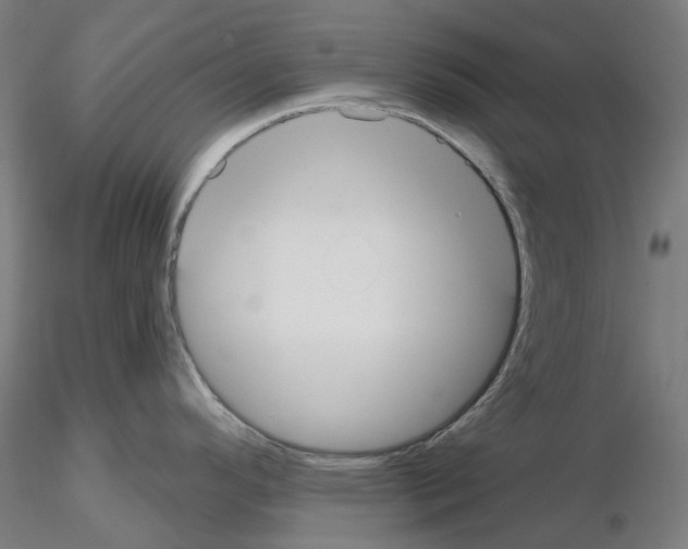 X0000115611296200912221159