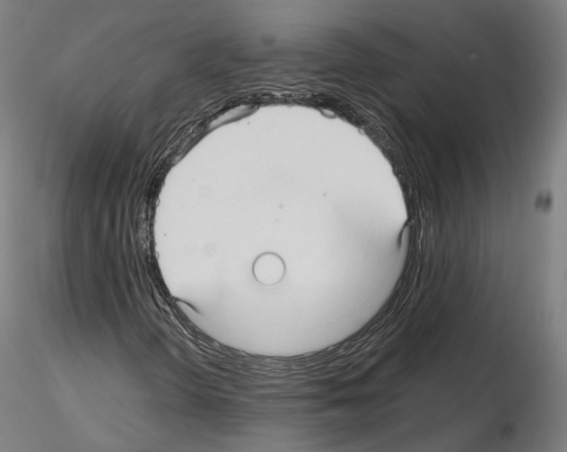 X0000115611298200912221158