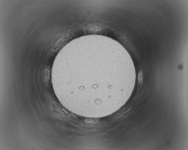 X0000115611299200912221158