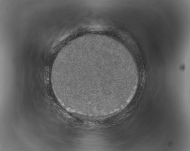 X0000115611301200912221158