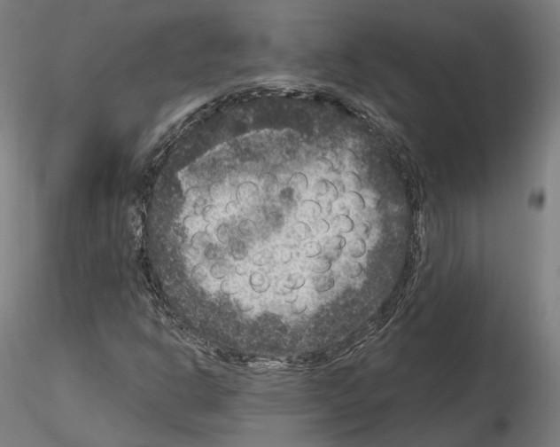 X0000115611302200912221159