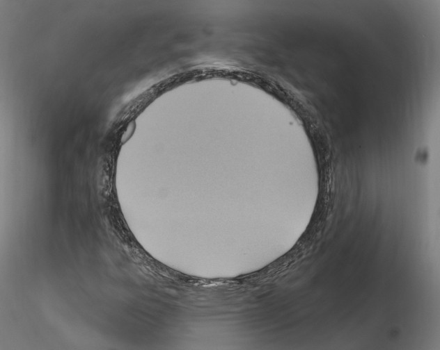 X0000115611303200912221159