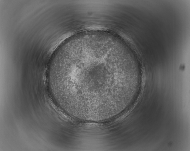 X0000115611305200912221159