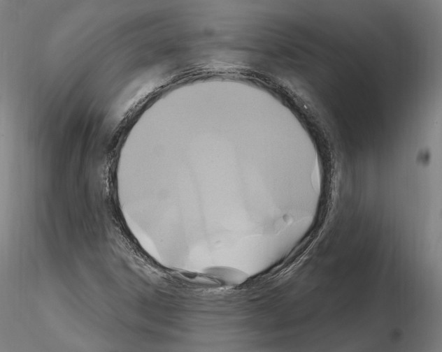 X0000115611306200912221159