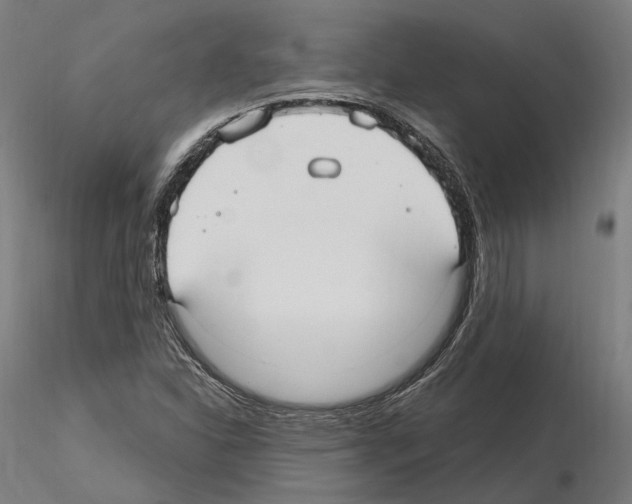 X0000115611310200912221159