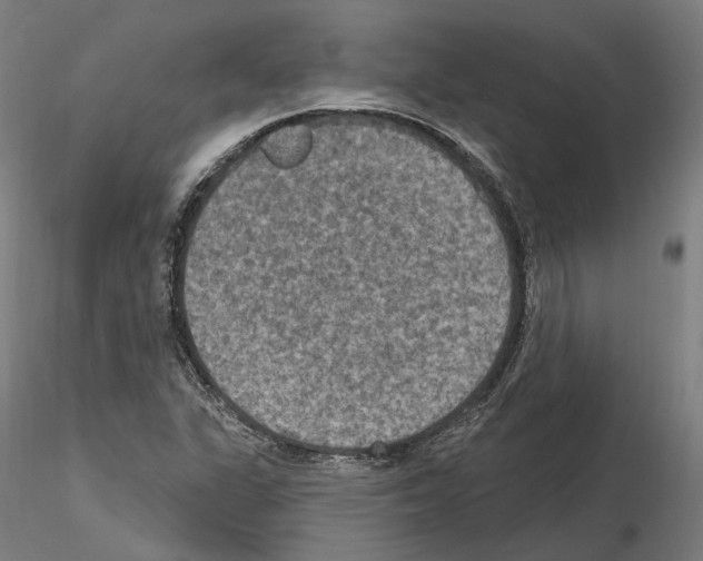 X0000115611311200912221159