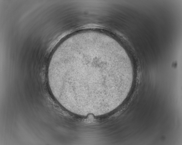 X0000115611313200912221159