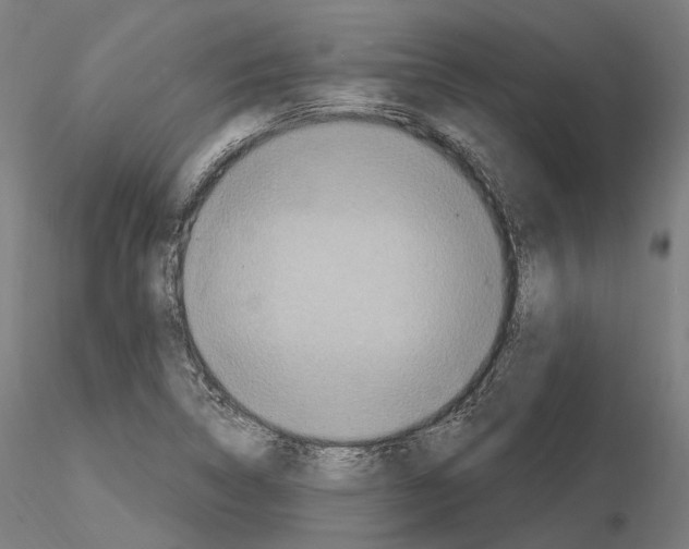 X0000115611314200912221159