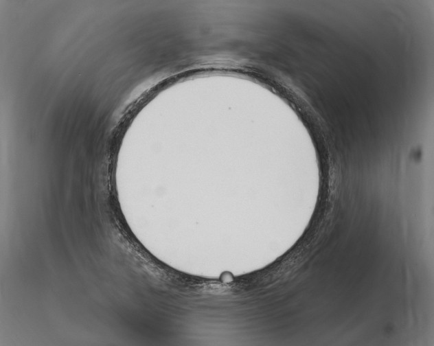X0000115611315200912221159