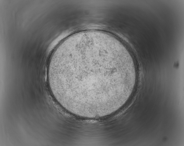 X0000115611317200912221159