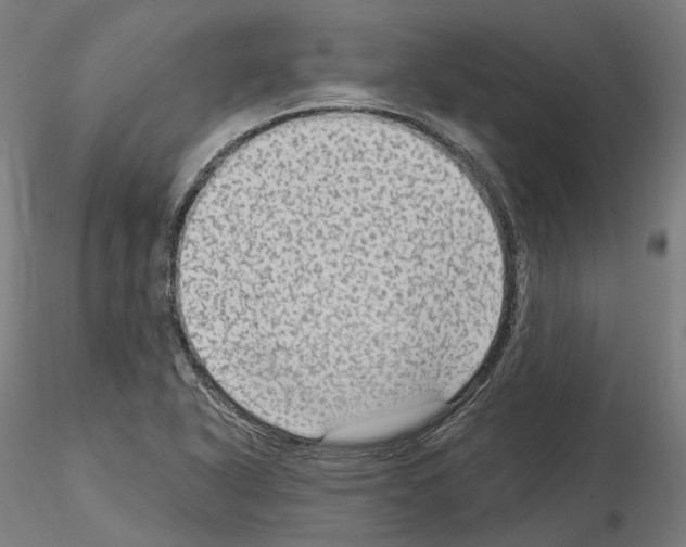 X0000115611318200912221159