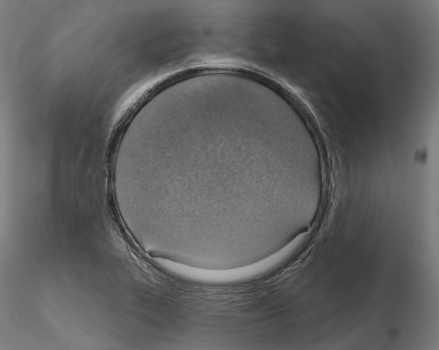 X0000115611319200912221159