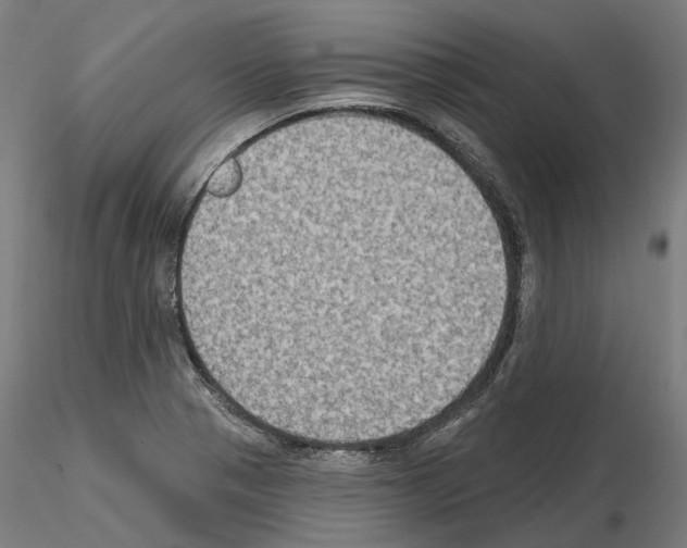 X0000115611321200912221159