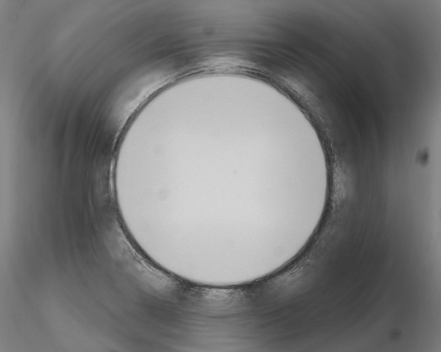 X0000115611322200912221159