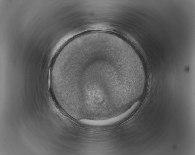 X0000115611323200912221159