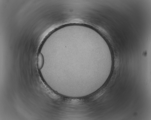 X0000115611326200912221159