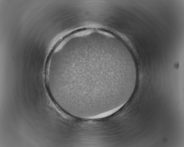 X0000115611327200912221159