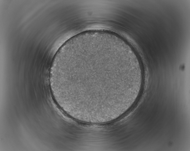 X0000115611329200912221159