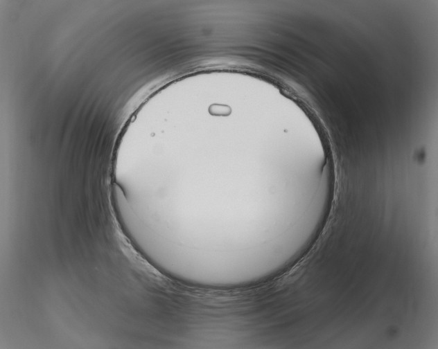 X0000115611330200912221159