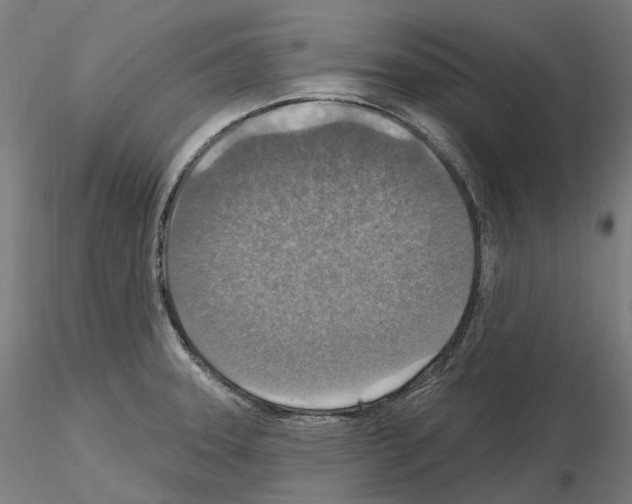 X0000115611331200912221159