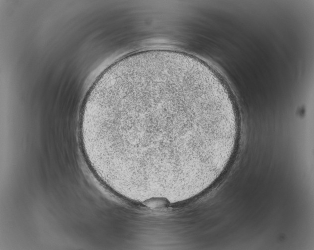 X0000115611333200912221159