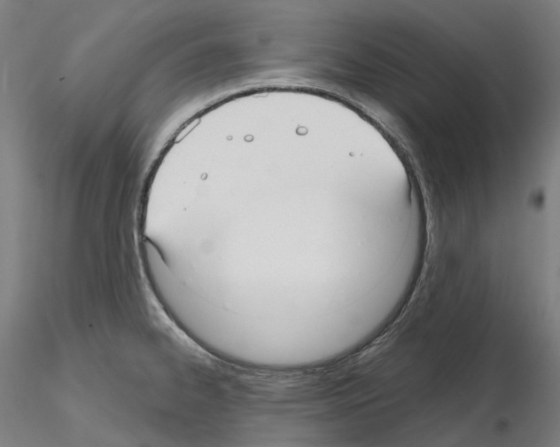 X0000115611334200912221159
