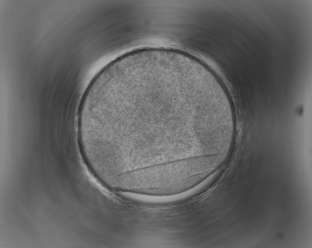 X0000115611335200912221159