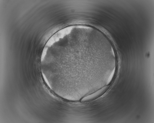 X0000115611337200912221159