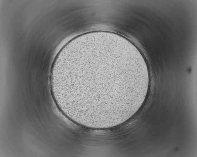 X0000115611339200912221159