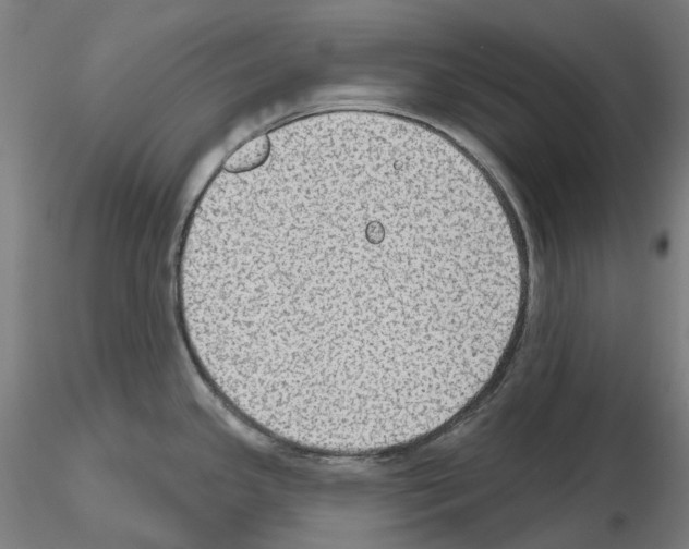 X0000115611341200912221159