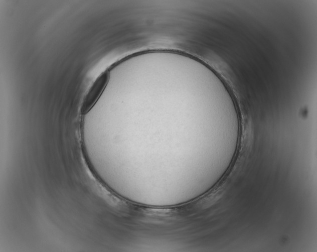 X0000115611342200912221159