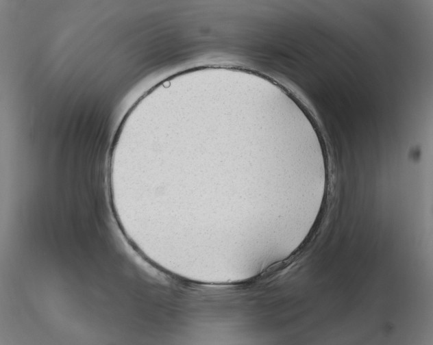 X0000115611343200912221159