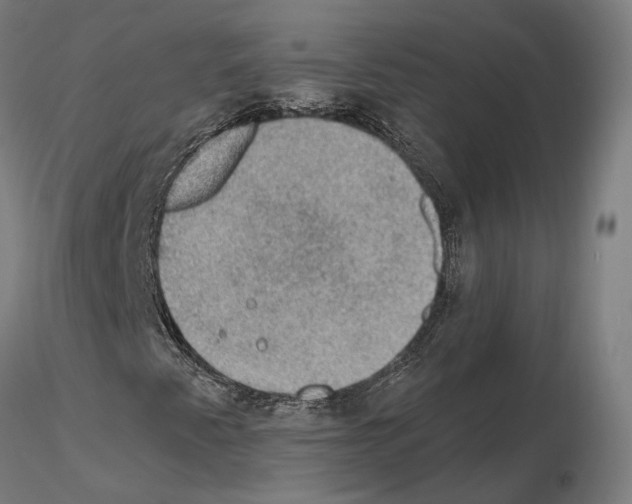 X0000115611345200912221158