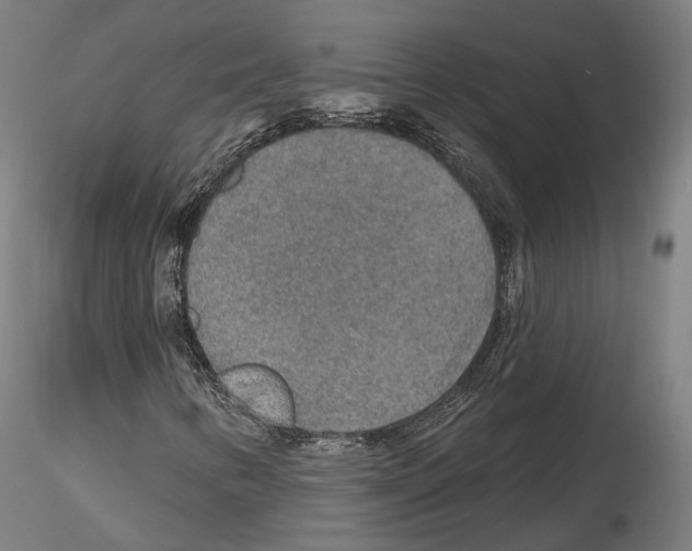 X0000115611346200912221158