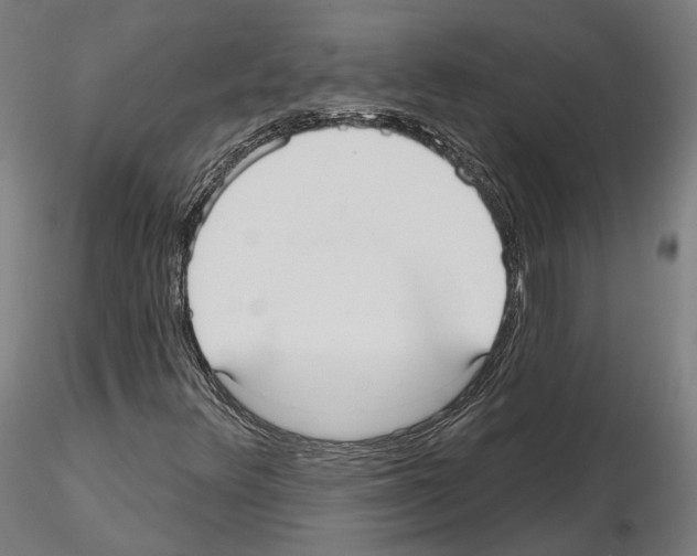 X0000115611348200912221158