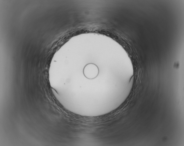 X0000115611349200912221158