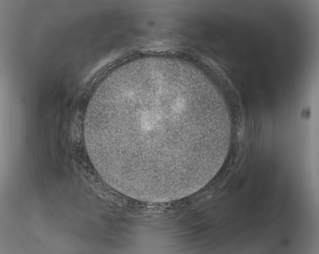 X0000115611350200912221158