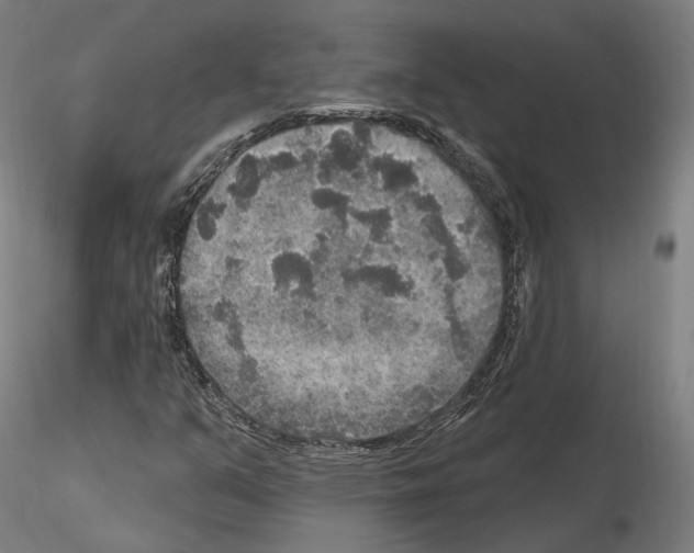 X0000115611351200912221158